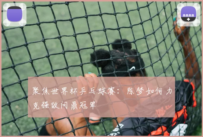 聚焦世界杯乒乓球赛：陈梦如何力克强敌问鼎冠军