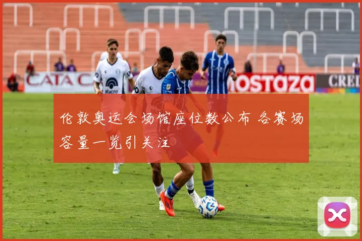 伦敦奥运会场馆座位数公布 各赛场容量一览引关注