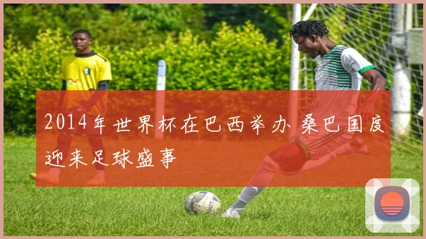 2014年世界杯在巴西举办 桑巴国度迎来足球盛事