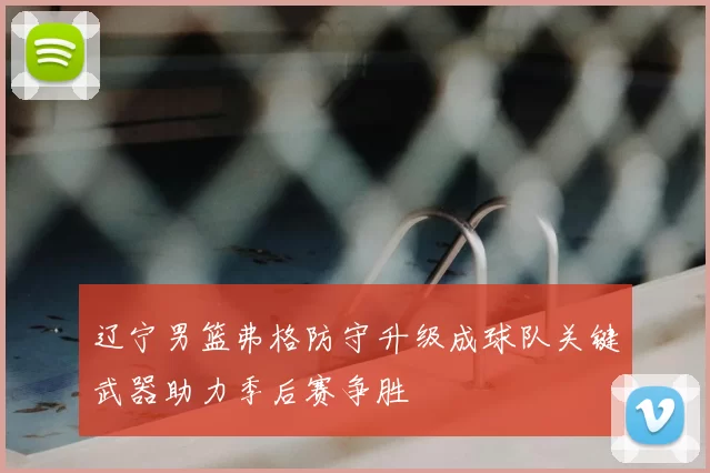 辽宁男篮弗格防守升级成球队关键武器助力季后赛争胜