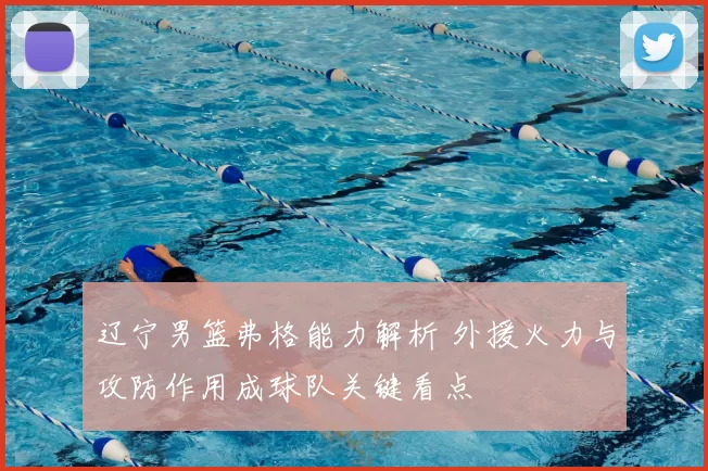 辽宁男篮弗格能力解析 外援火力与攻防作用成球队关键看点