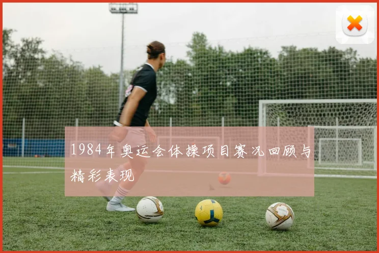 1984年奥运会体操项目赛况回顾与精彩表现